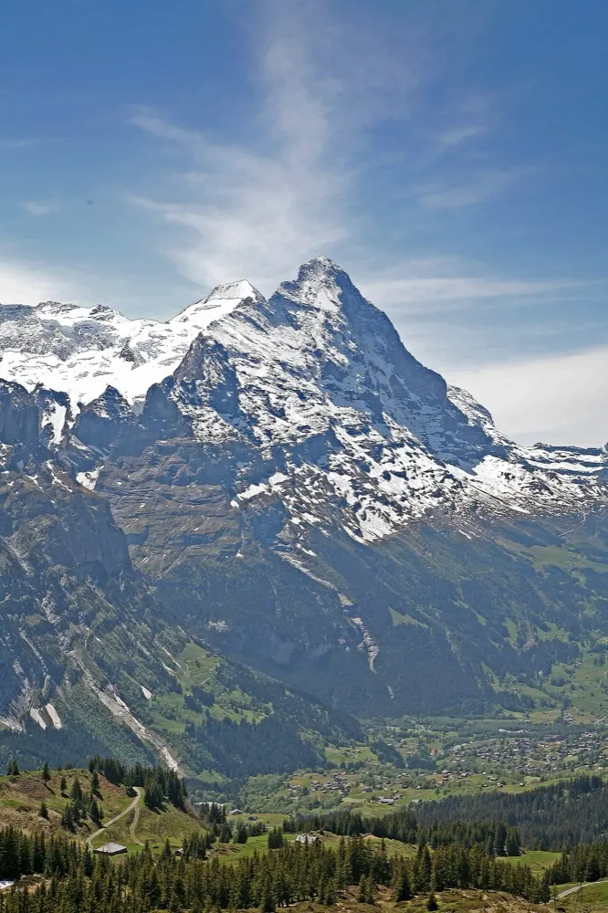 View of Grindelwald